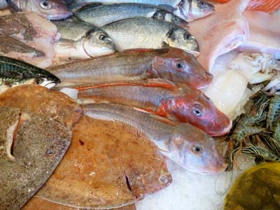 gurnard