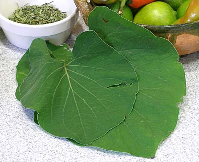 hoja santa