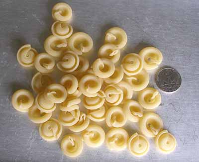 cappelletti