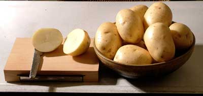 Maris Piper potato