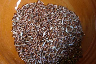 riz de Camargue