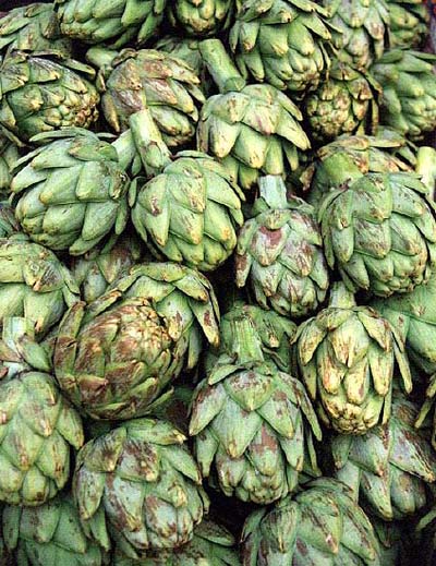 alcachofa