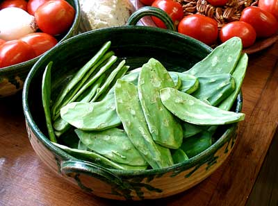 nopal