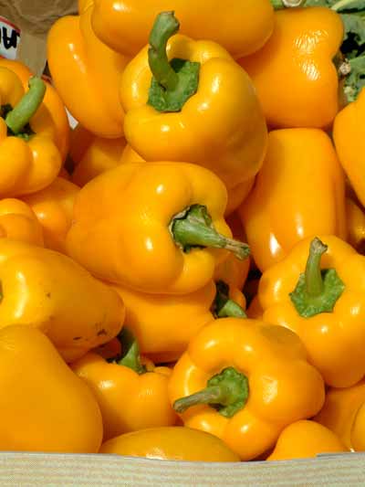 gele paprika
